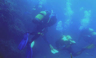 Foto gentilmente concessa dal centro Sub di Camerota DIVING CENTER